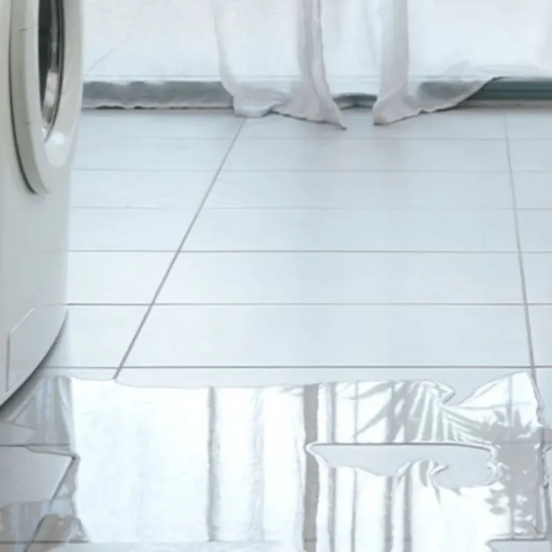 Appliance Leak Cleanup in Dade City, FL