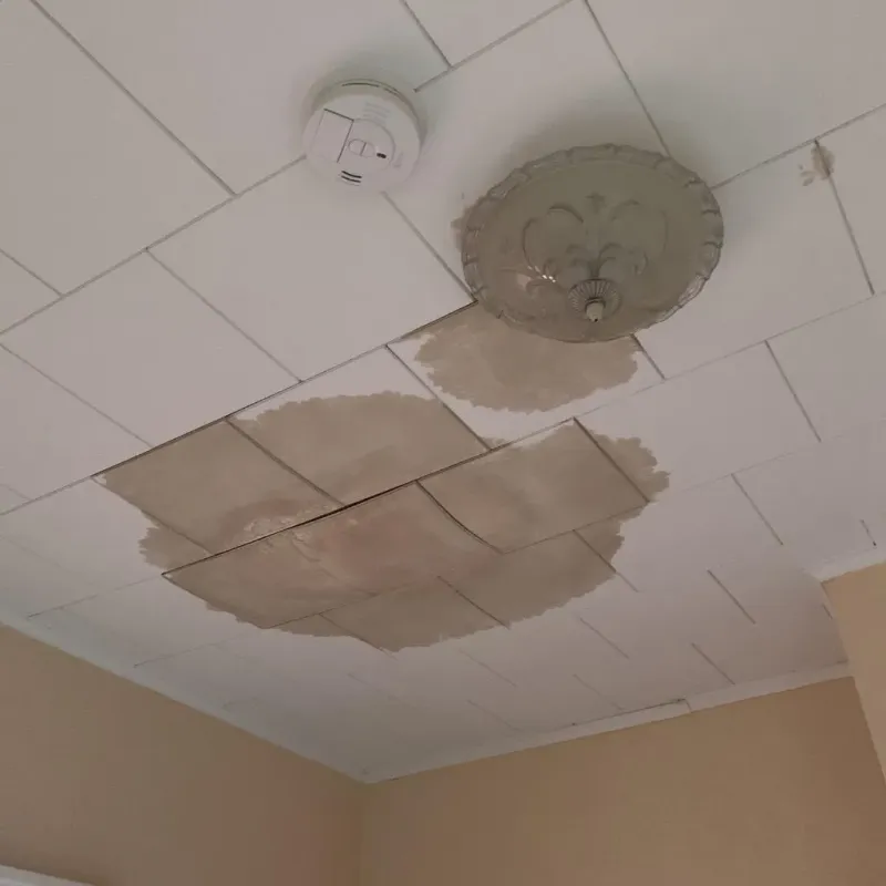 Ceiling Water Damage Repair in Dade City, FL