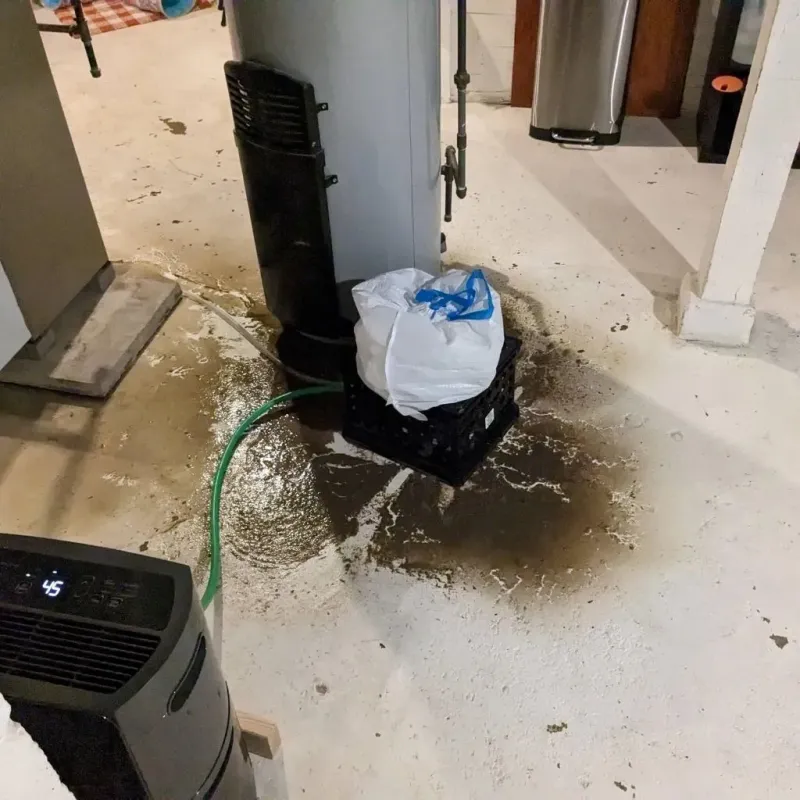 Sewage Backup Cleanup Service in Dade City, FL